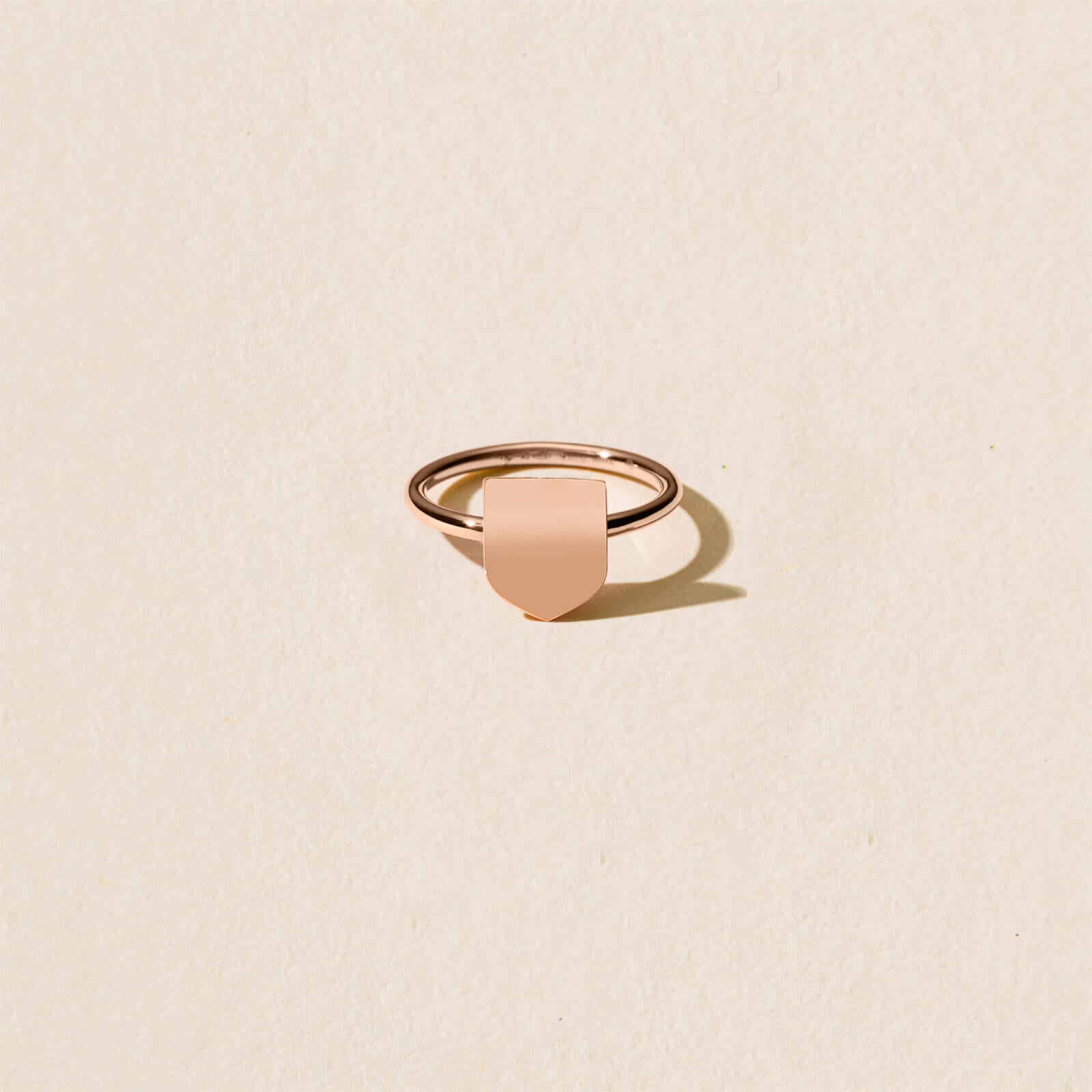 Bague Blason d'Or sur anneau personnalisable